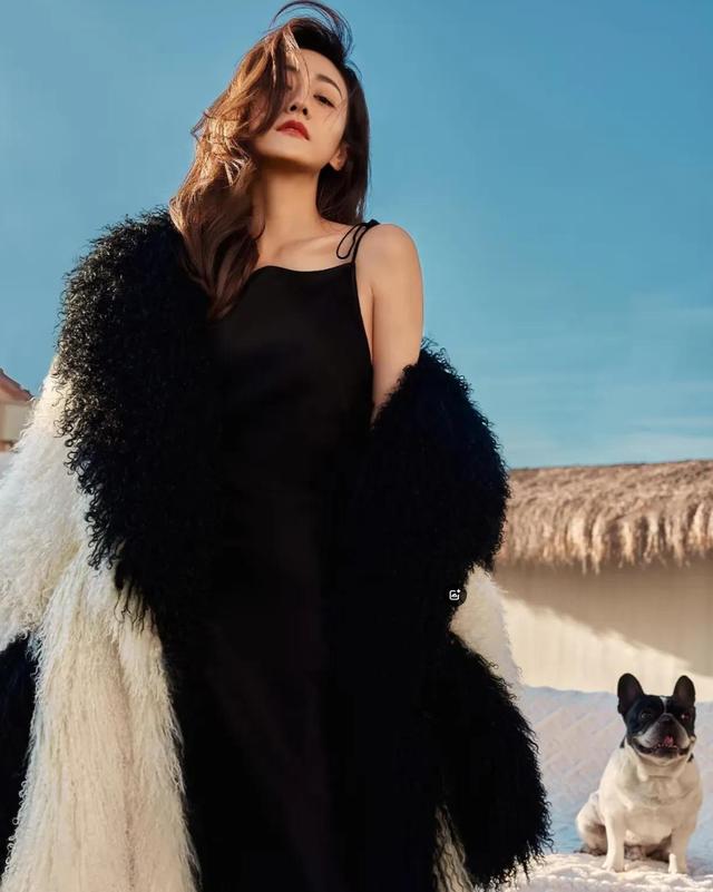 开云体育中国-包含玫瑰开出绝佳表演，全明星绽放独特光芒的词条