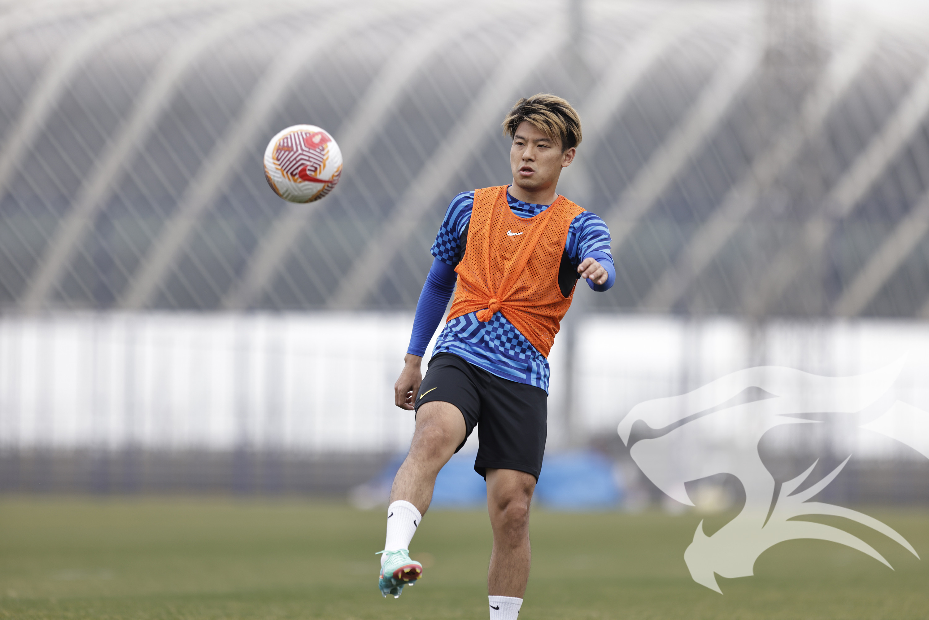 开云APP-球队经理宣布球队新一轮备战计划