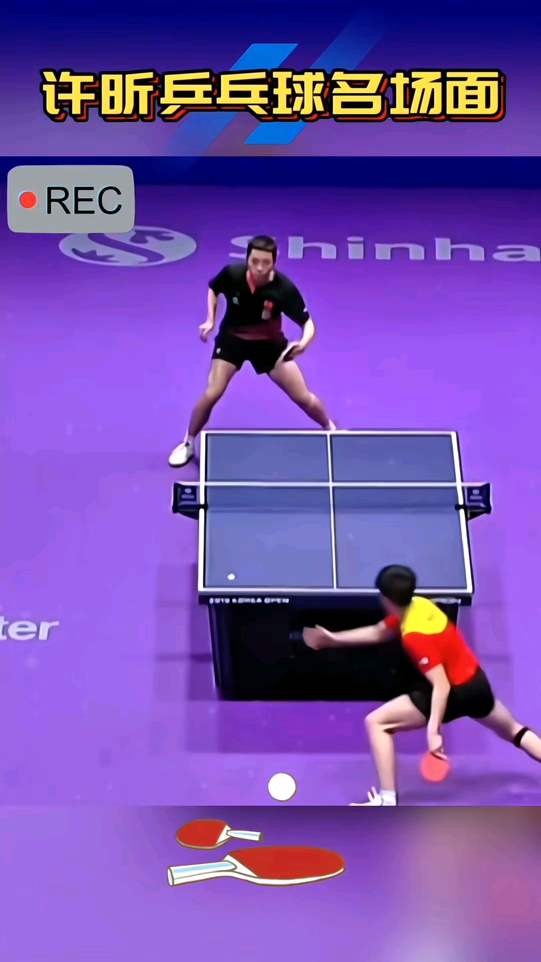 开云平台-关于日本乒乓球队完胜奥地利乒乓球队，许昕送出助攻的信息