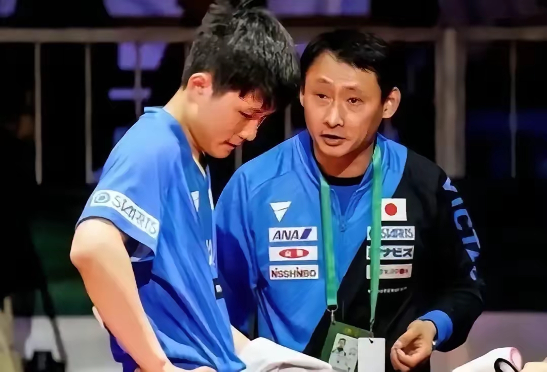 波兰队逆转法国队，张本智和高光表现